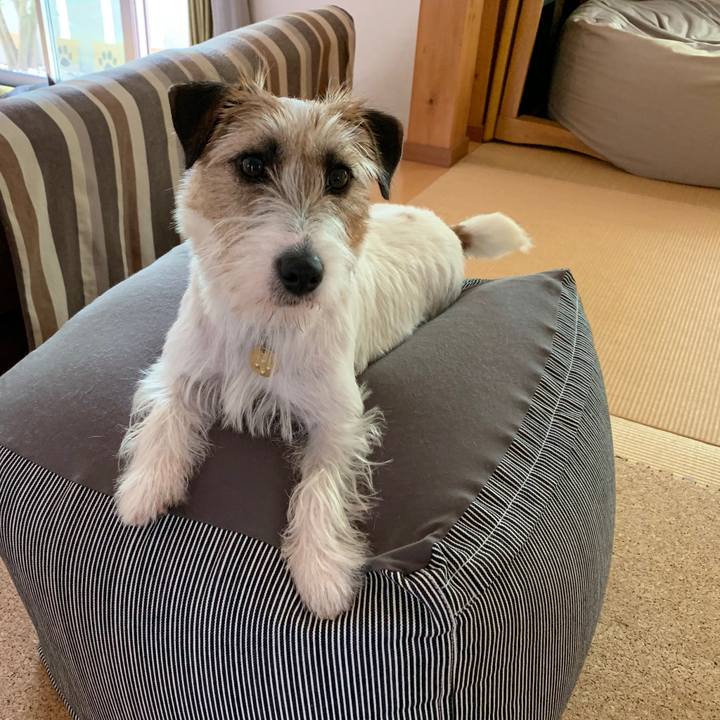 4fe57e88 2756 42ff 852f 41113489cc06 1591059481523