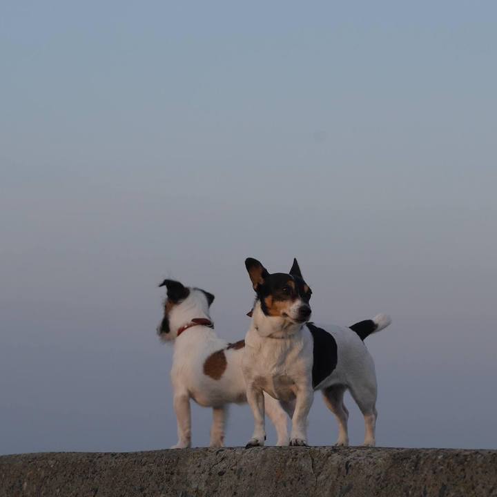 4fe587fb b5db 497c 836b 9a2d259cd0ac 1668395147375