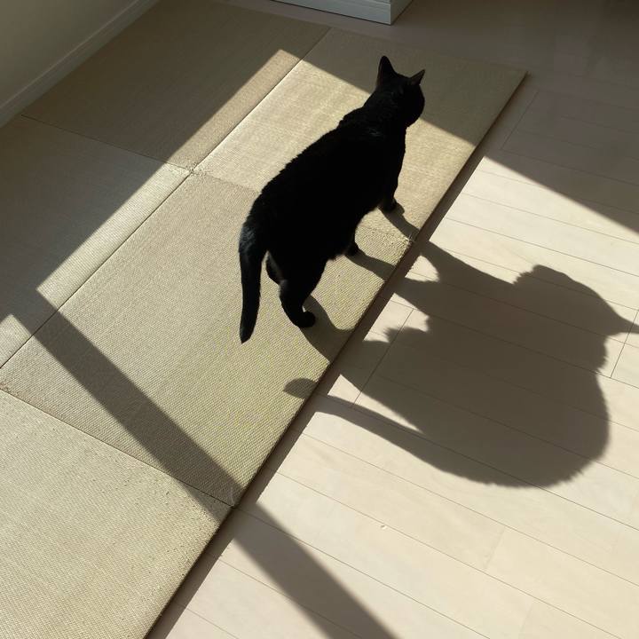 4fe5aae3 8103 49c4 b4d0 c98865cee1d5 1744787544770