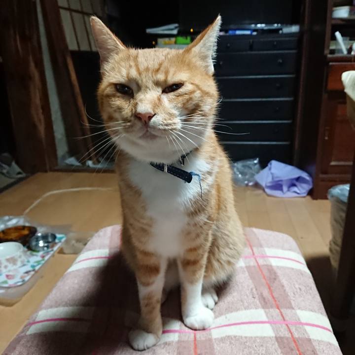 4fe5ed4b 7595 4eb3 99e2 915cc74eb56e 1600373705342