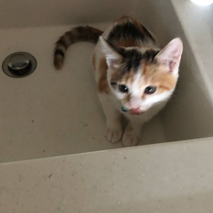 4fe63020 1b59 4f3b 951b e5aeb186f487 1564097873111