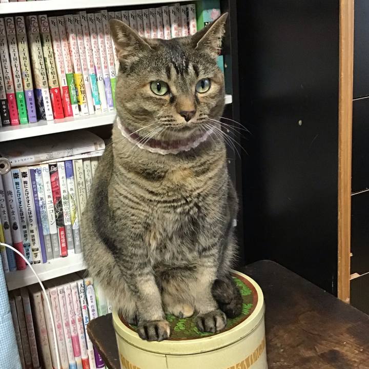 4fe64f4d d913 4d79 a39e aec7bd1ad23a 1719828896496