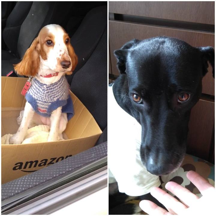 4fe6a124 1df6 4ce9 a539 7dba1b740b3d 1607768018962