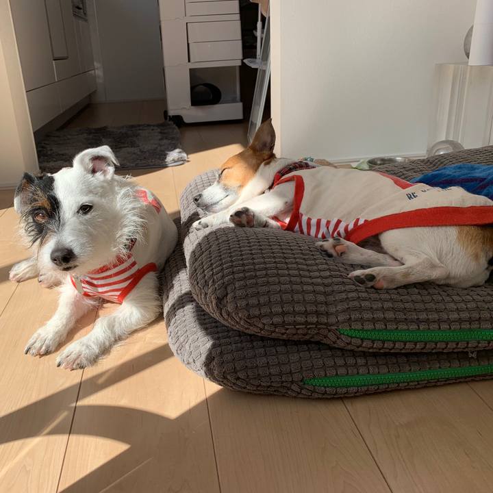 4fe6ae32 3e8d 4d0e be65 fe3e9dacb1a2 1554788628540