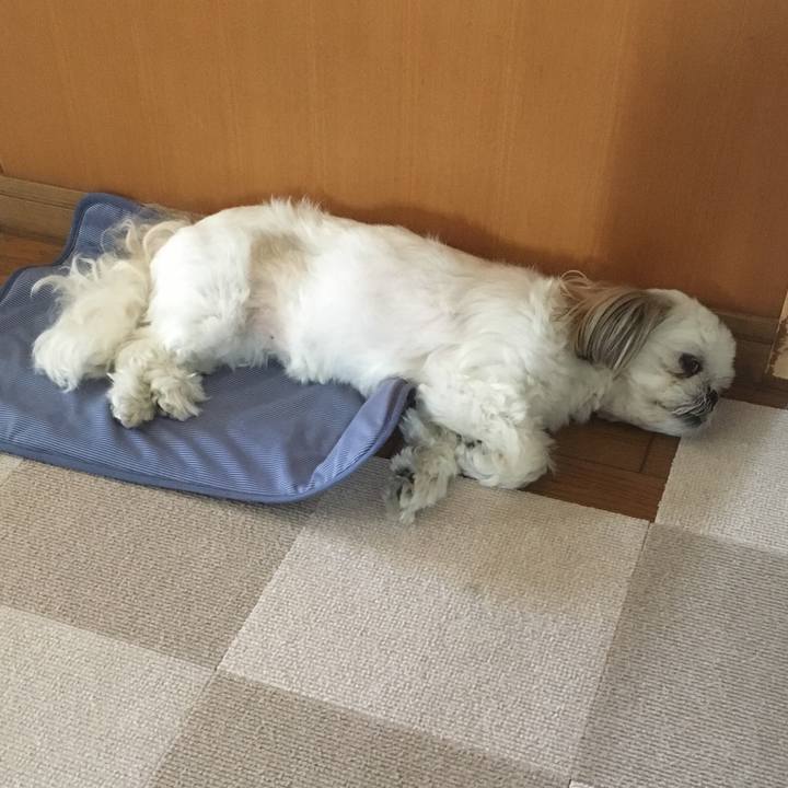 4fe6b5ae 7b78 41fd 9877 6c7aa190cb77 1530405851186