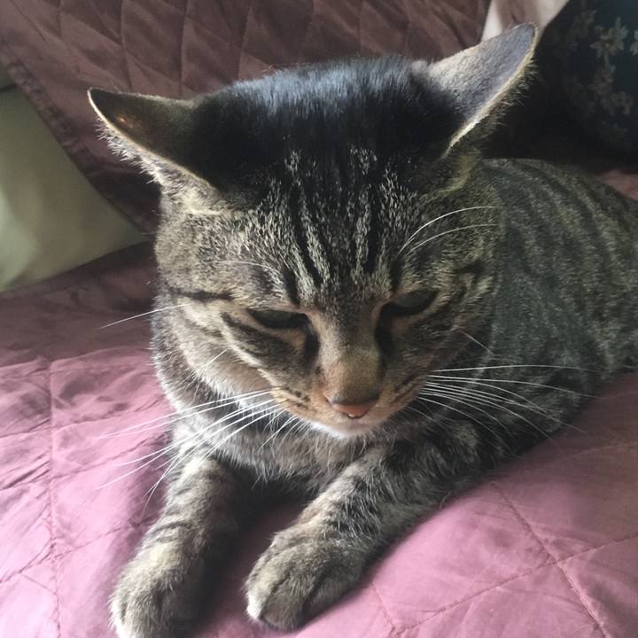 4fe6cd60 2658 41c1 9556 916e7411a5e3 1556590949588