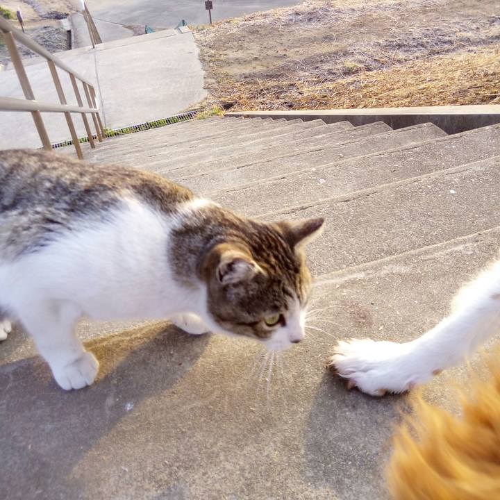 4fe6dc27 aeef 4883 a482 94ccf68e594a 1519431465990