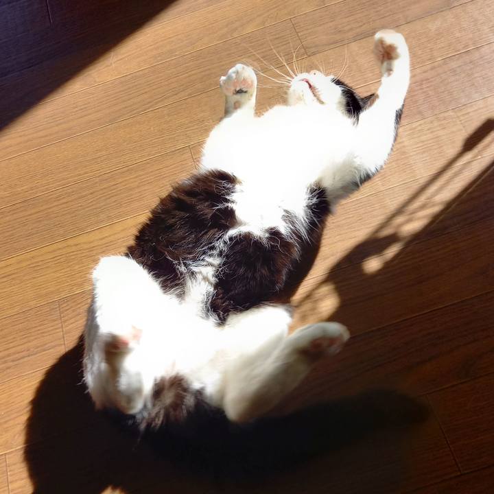 4fe705d6 96d6 44e1 baac fdf6e1fc2e0f 1633603431835