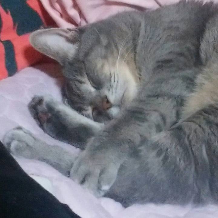 4fe753f6 7556 4fda a6d2 a44311b78e9d 1538193189579