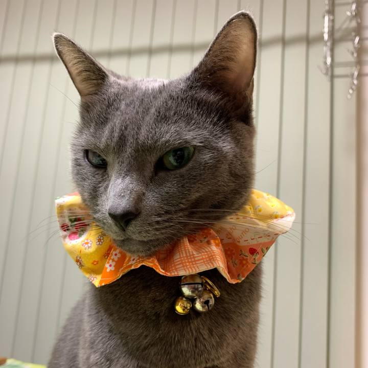 4fe7852f a723 4d03 b7fe 183147dff1c6 1649160349552