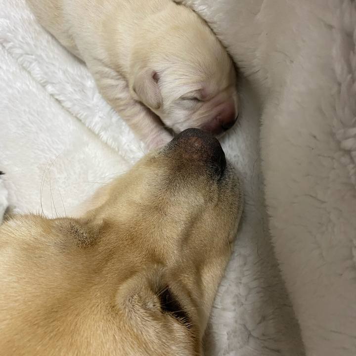 4fe7a69d 7820 4d29 a7fa c39dc75b1918 1615016685650