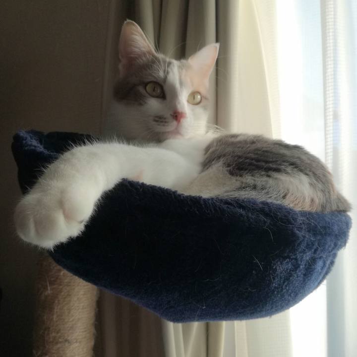 4fe7c91a 7ae2 4821 9498 04c361b60902 1545351112098