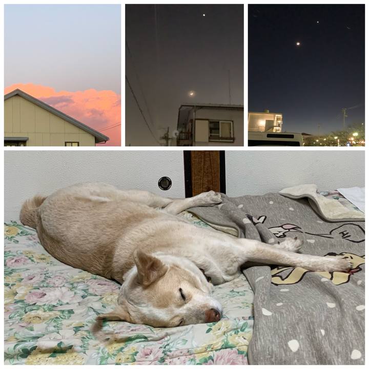 4fe80ab7 9eef 496d abf4 667595b06fb7 1582809159863