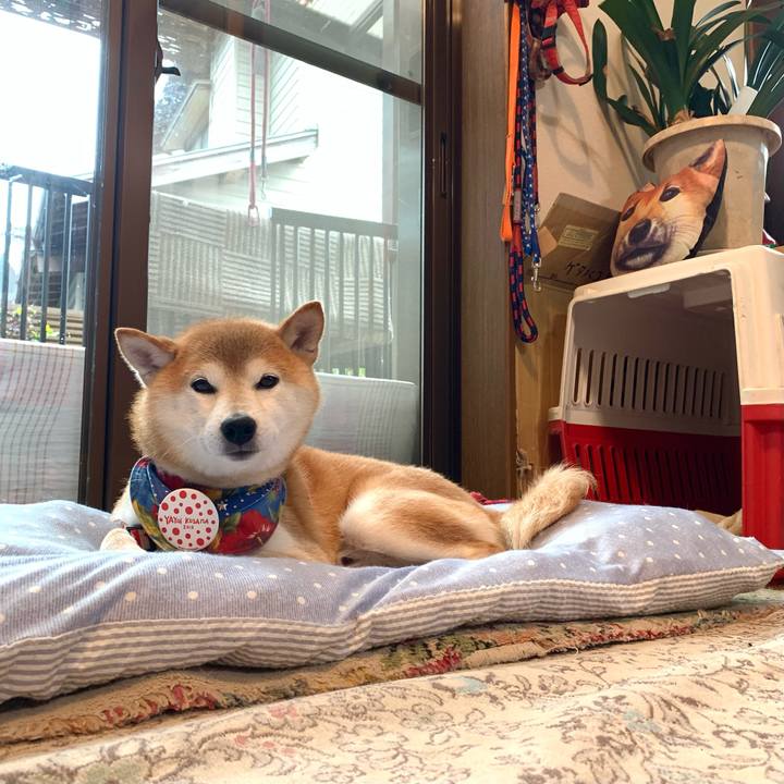 4fe81cd6 c985 4fa0 833c 2d2c0b396e62 1632646585742