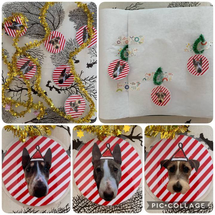 4fe82566 b47b 4c9e 818e 65ac547e9d27 1607774425889