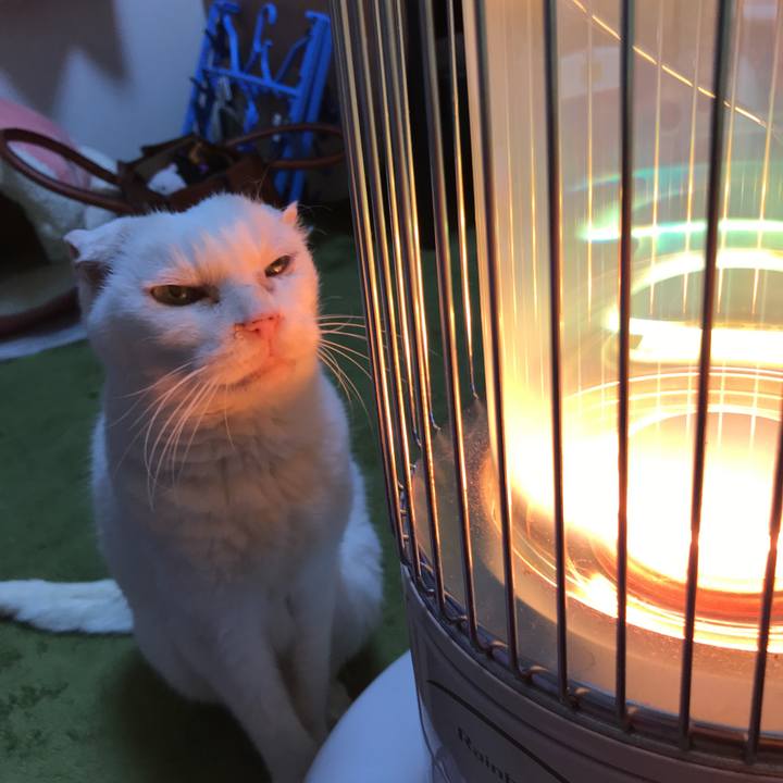 4fe8328b 8925 4dd7 8b7e f8bc4ce1a7ee 1521886087728