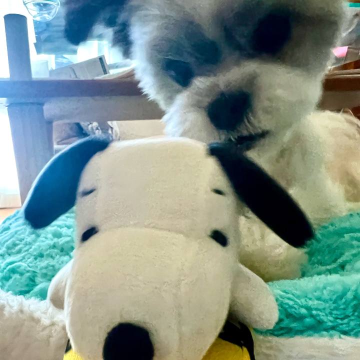 4fe85d24 96ff 4c1c 92c0 490b3e2f5a9e 1695440239328