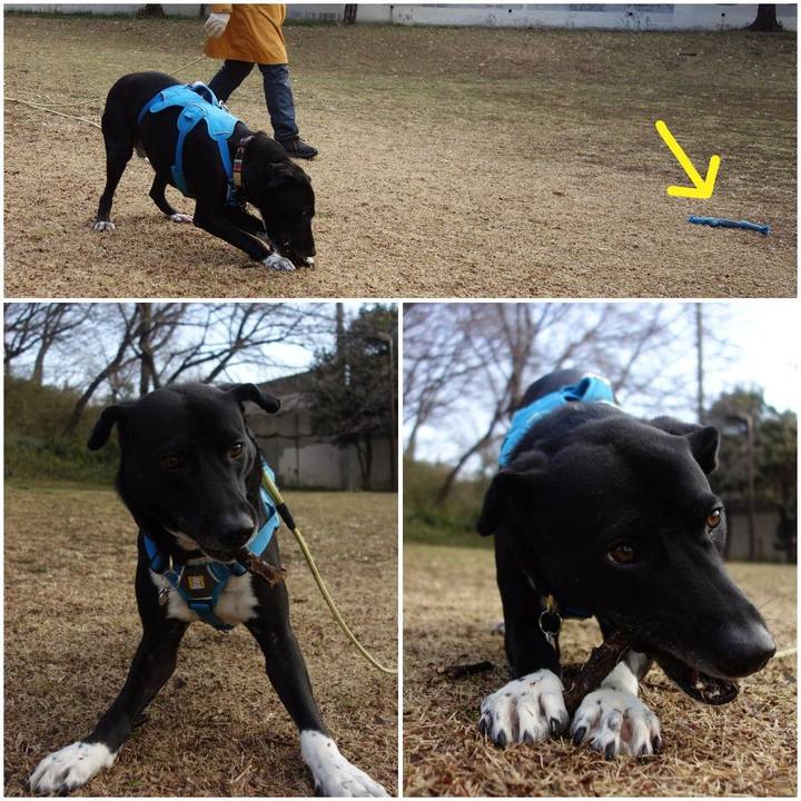 4fe869a0 aa43 4241 b86d d75e620b0e8e 1614818283961