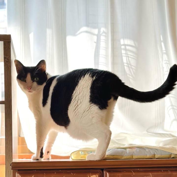 4fe876e6 7235 4e99 b6d0 7c13de9fbe6e 1726449586790