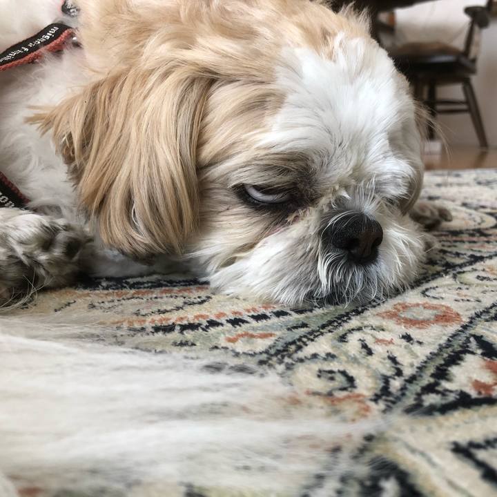 4fe87a87 c312 47db 97c2 2867cc25c346 1620769688517