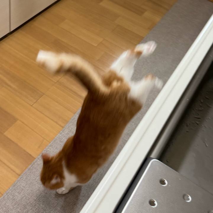 4fe8b489 308f 4e53 96a8 44eca4aaa9c4 1759719362787