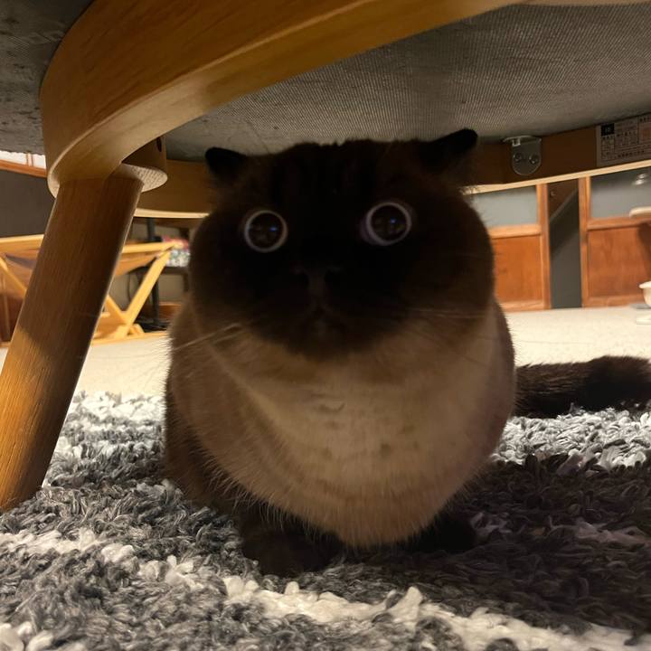 4fe8cca7 bf8b 4000 abec 8fcc45223890 1678707375298