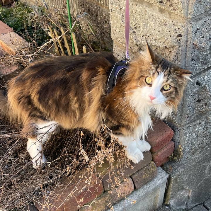 4fe8d535 9a2b 4a83 b195 683c3da75f9d 1679128711369