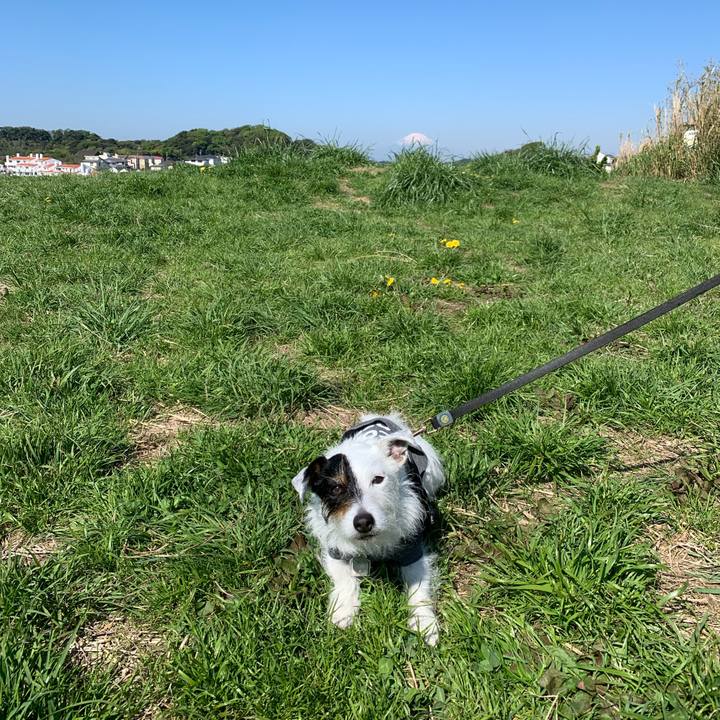 4fe8d8ea 3ce4 45d3 b670 fc6ced2a76ac 1681088924101