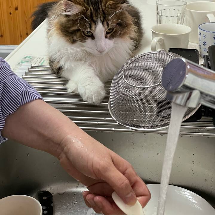 4fe8e967 9724 479f a123 111f96fc56fd 1637921903715