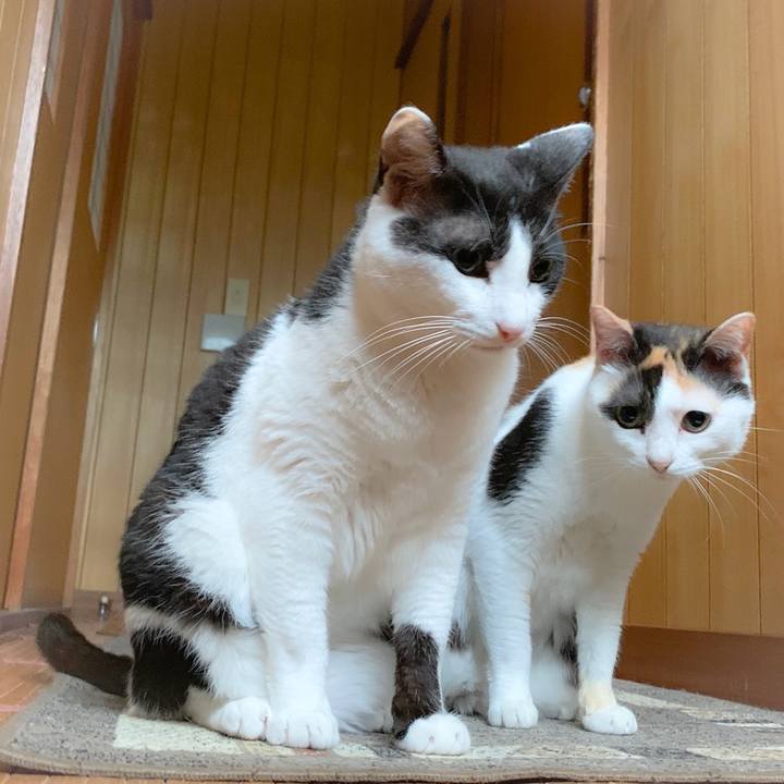 4fe8ff3a 7eda 4c0a a36d 0c123902ee04 1560906431059