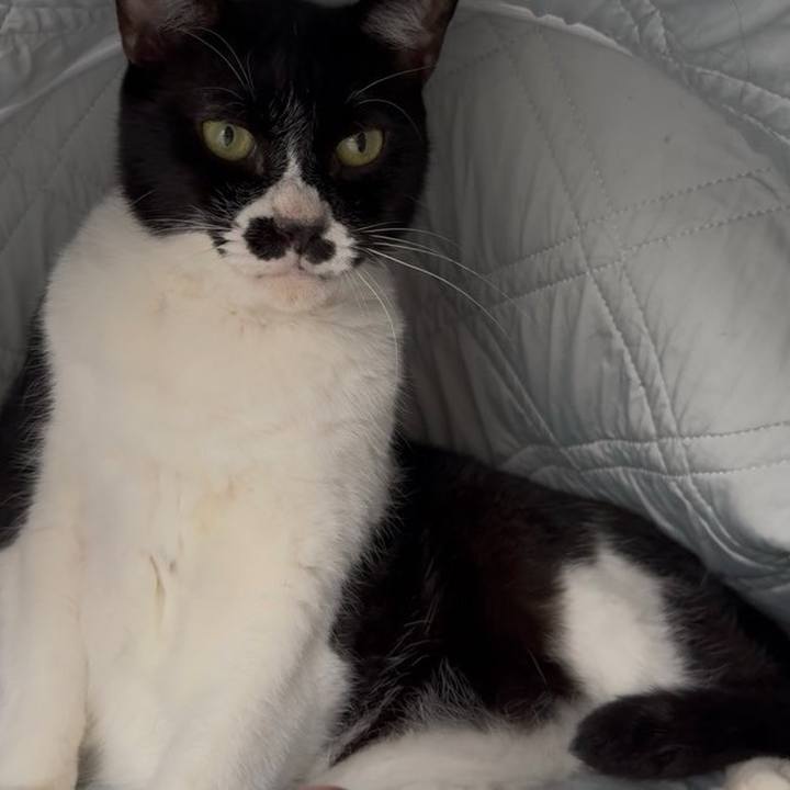 4fe91db5 3fa6 4d75 9355 79853175eb90 1758033233718