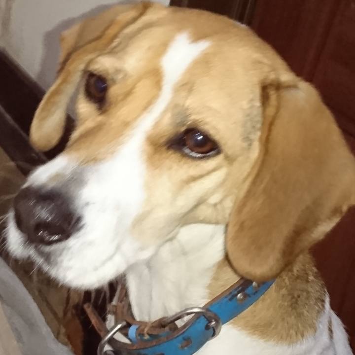 4fe94e2a 1ffb 460e 86ca 2bbe9726af17 1575103144521