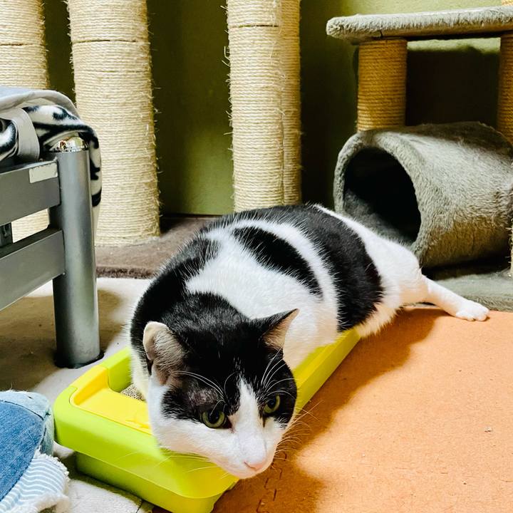 4fe9670d c8cf 4d00 9a06 64be449ec80f 1617157281350