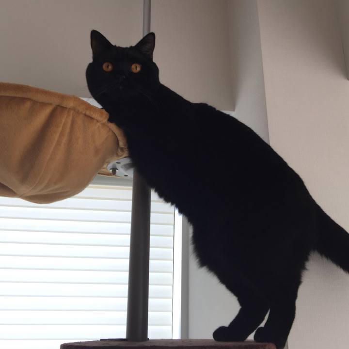 4fe96ae7 4107 41a6 9aea c6ee7c53d7e9 1510093348763