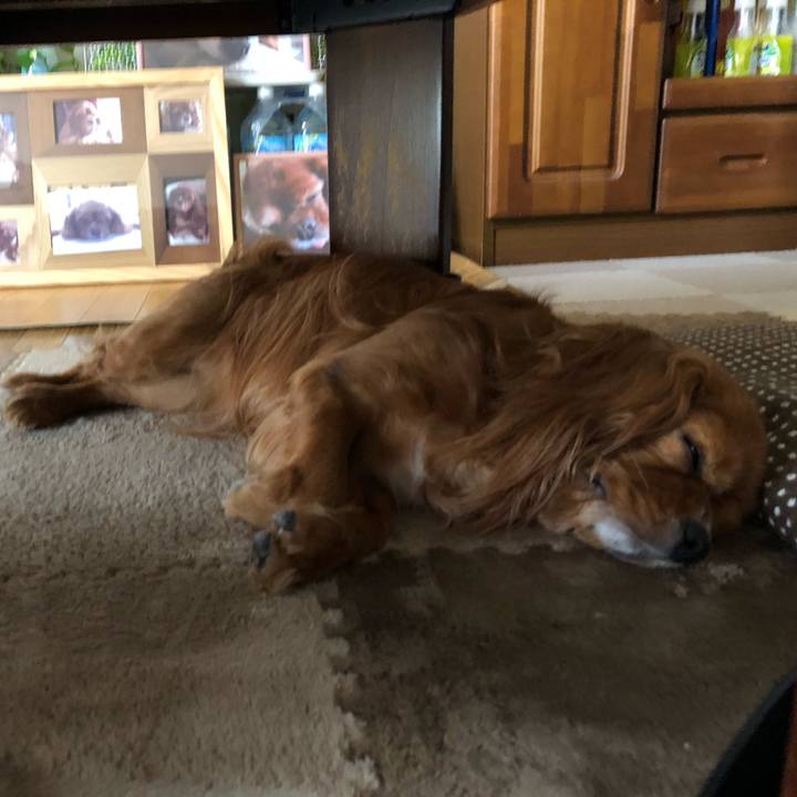 4fe99892 7bd3 43b4 a5e9 d2d83dfdafae 1592045000368