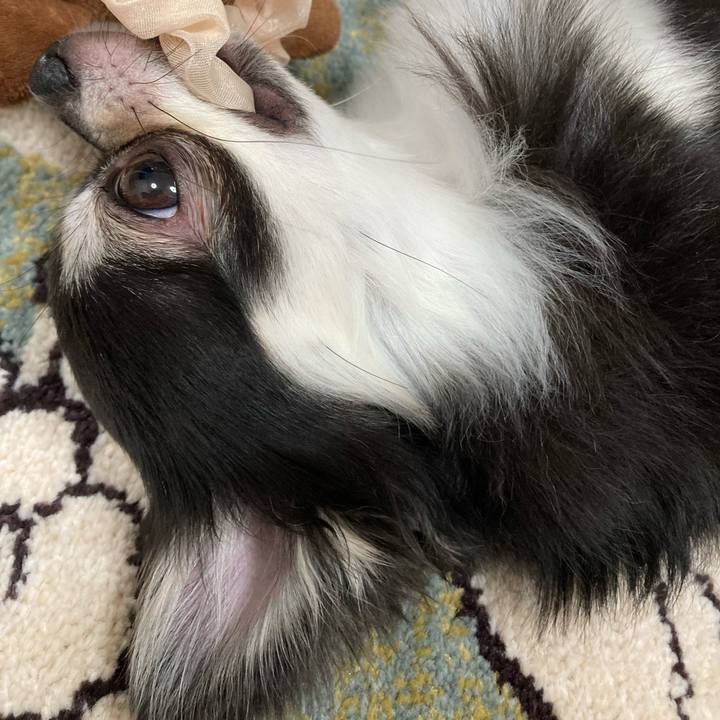 4fe9b034 33ab 4ab3 b46a b2c38973552d 1628311388864