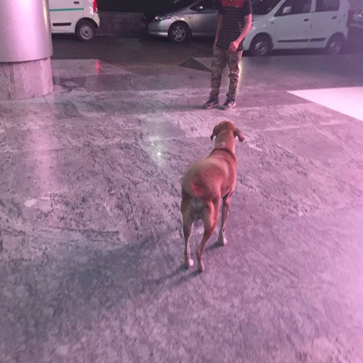 4fe9ba5b 066b 4c37 b554 852203e7ab20 1550074039681