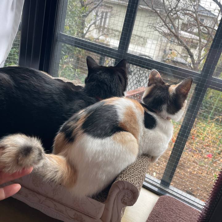 4fe9d956 6dcb 4946 a6f2 e8b2299f93ac 1676262651367