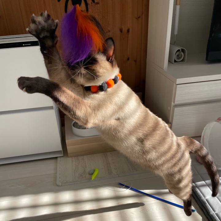 4fe9eeb2 d898 4539 9716 9204e1c75ab6 1729404628080