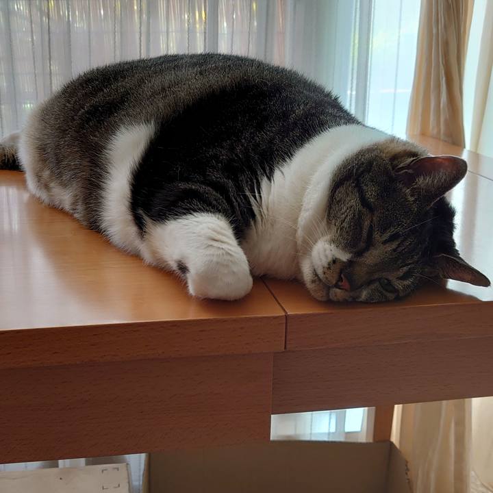 4fea1e05 0314 4579 883d c6d14b1bb3b0 1626826390488