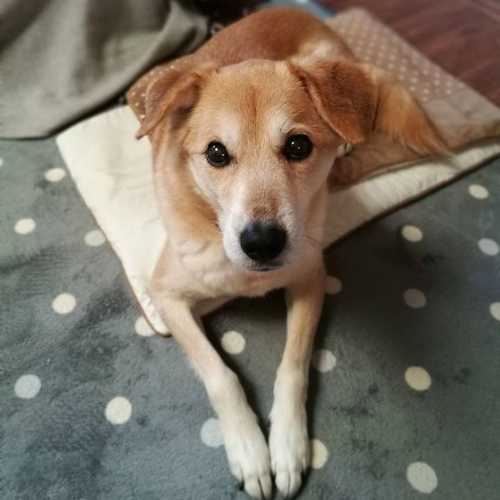 4fea4734 66e1 4682 b676 480590a9405f 1547196796802