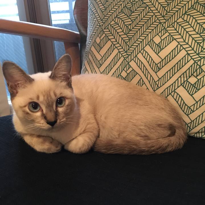 4fea49af 2dd9 4f82 a498 f88fcc3890c4 1538557162629