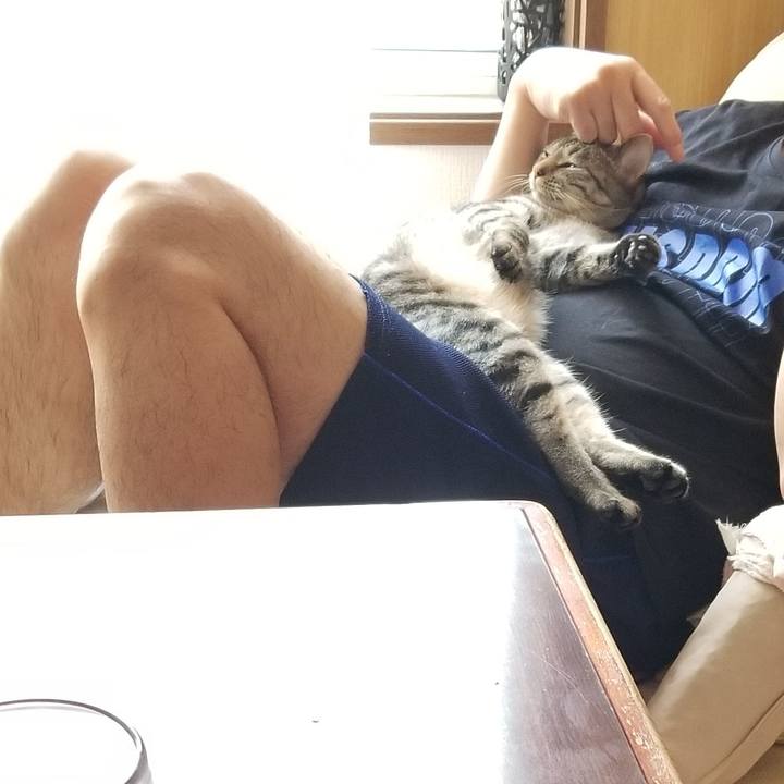 4fea53be dfd8 4ef4 af45 97685ec2871c 1685189463027