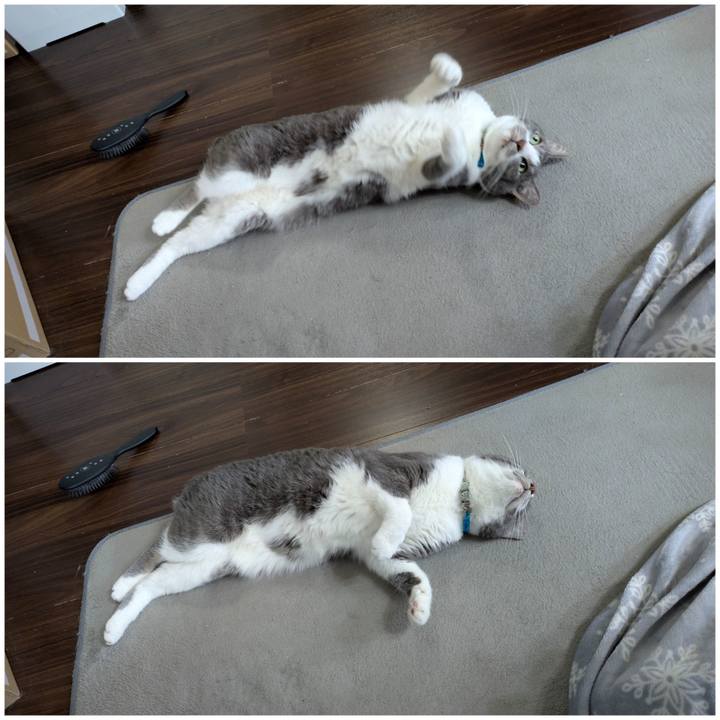 4fea6260 4799 4baf a92e ecb7d231e6df 1771308803547