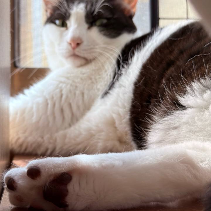 4fea7f0b 6388 4bc5 9ed4 acf41f63c5c8 1758417658591