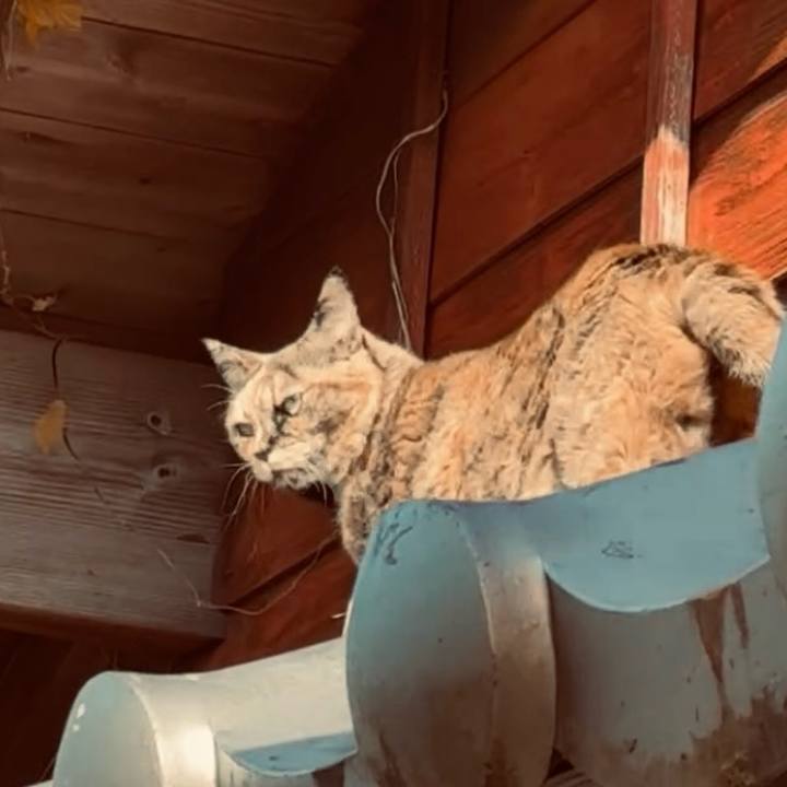 4feaae01 f620 41a0 a471 7d1f9dd3df05 1769396990190