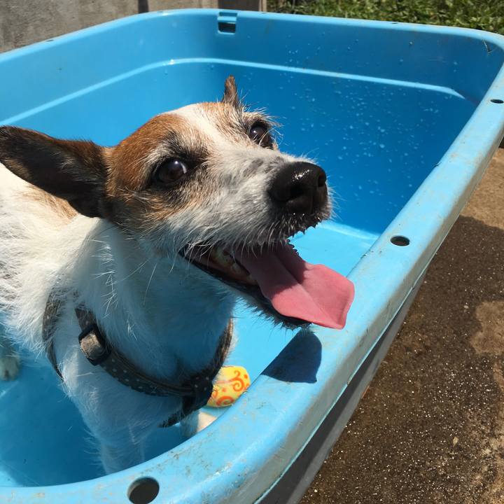 4feacbd3 d4be 41c0 ad58 85361d75ea20 1558928293966