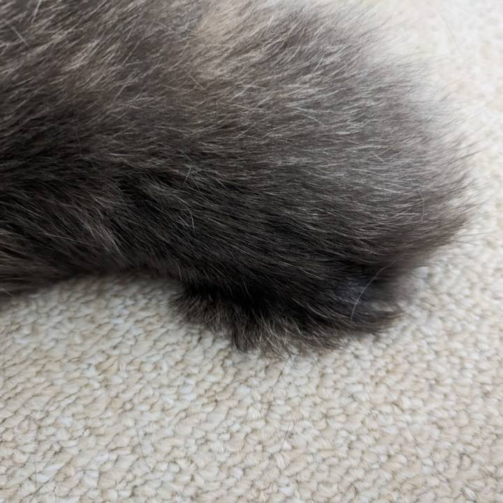 4feb22be a52e 4aac a36c 49e011e16c51 1688526958557