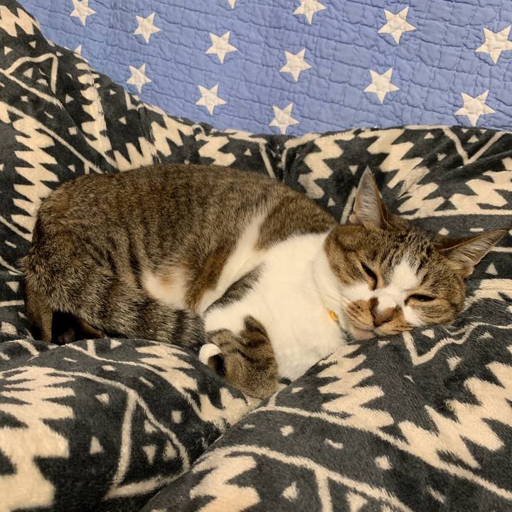 4feb2c5c 0cf7 4755 a8db 04429da74176 1572438751355