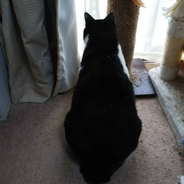 4feb4218 6e84 4635 ab75 af96e5b67fa5 1537057766097